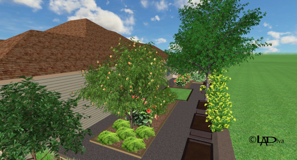 Tropical & Productive Backyard Paradise with New Pool Design - Chandler, AZ ©LADiva Artistry Landscape Design Solutions, specializing in edible & tropical garden design in Gilbert, AZ. Featuring Custom 2D Color Master Landscape Design Plans and 3D Virtual Walkthrough Tours. Cultivating beautiful, productive oases in the greater Phoenix, Arizona area showcasing tropical trees, fruit trees, edible plants & herbs in low maintenance, stunning gardens.